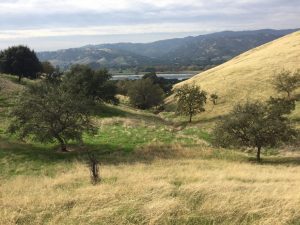 4 Best Spots to Photograph in Vacaville, CA