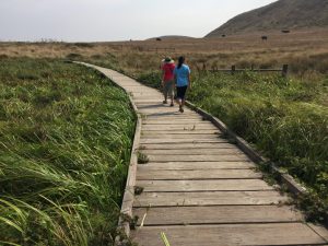 Kia of Vacaville - 4 Breathtaking Hikes