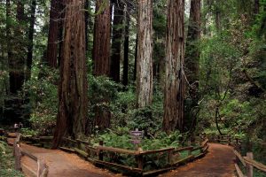 5 Quick Day Trips From Vacaville