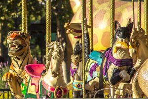 4 Reasons to Visit Vacaville This Winter