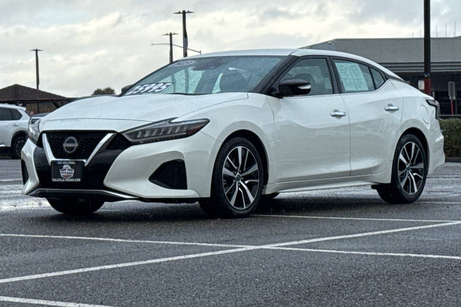 2023 Nissan Maxima SV