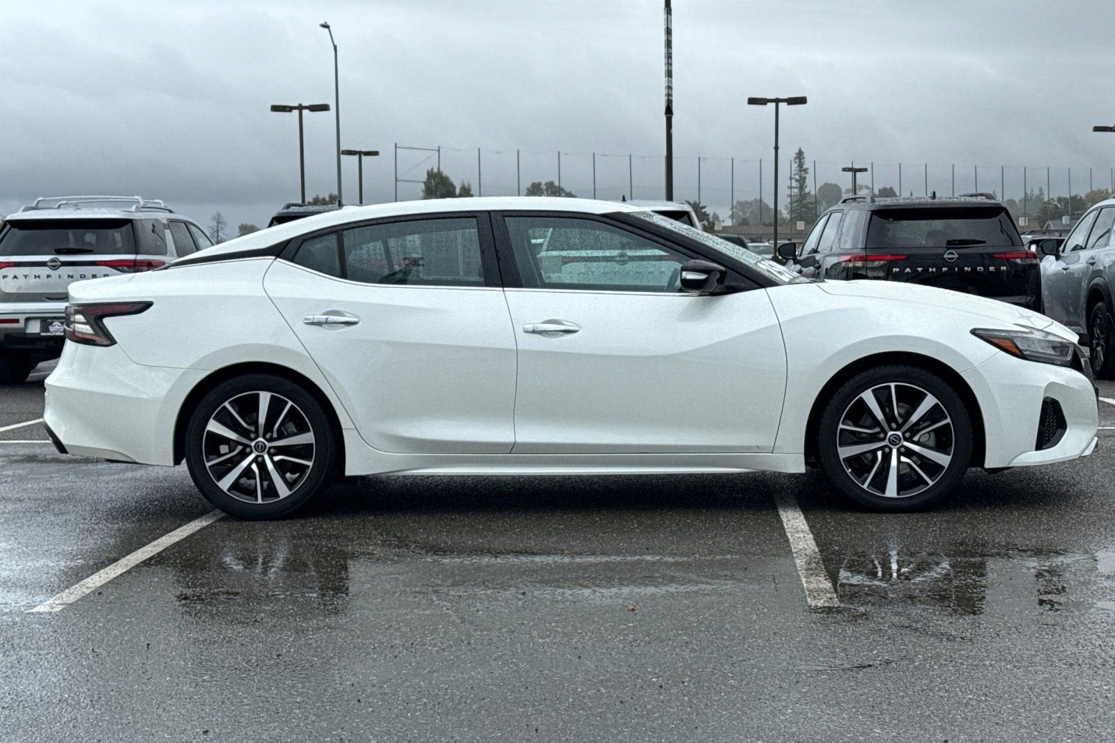 2023 Nissan Maxima SV